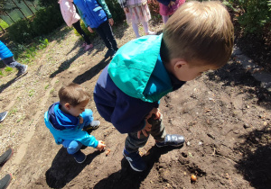 Dzieci podczas sadzenia cebulek