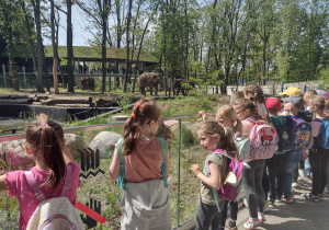 Dzieci oglądają słonie na wybiegu