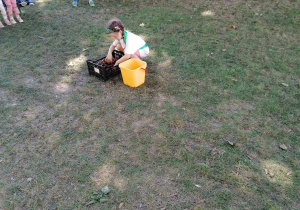 Dziewczynka szuka kasztanów wśród innych darów jesieni ukrytych w skrzyneczce
