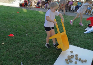 Dziewczynki wysypują ziemniaki na karton