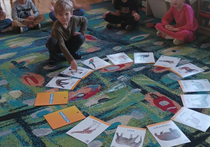 Dzieci z grupy V siedzą na dywanie i odkrywają obrazki z różnymi zwierzętami