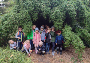 Przedszkolaki z grupy V pod bambusowymi gałązkami