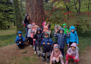 Dzieci z grupy V stoją przy grubym pniu drzewa