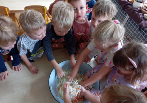 Dzieci mieszają rękami kapustę z marchewką