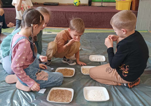 Dzieci próbują ziarna zbóż