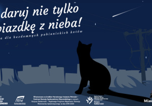 Plakat do zbiórki dla bezdomnych kotów