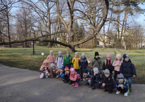 Przedszkolaki z grupy trzeciej na spacerze przy bardzo rozłożystym drzewie