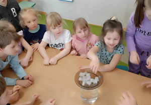 Dzieci obserwują jak topi się lód