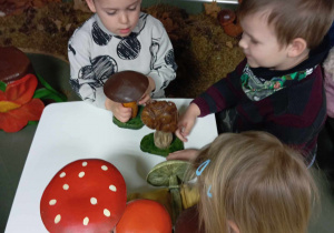 Dzieci z grupy II oglądają modele grzybów